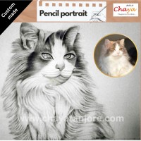 Pencil sketch Portrait Cat
