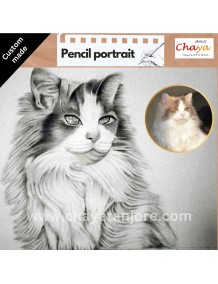 Pencil sketch Portrait Cat