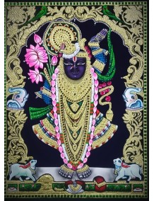 Srinathji 2